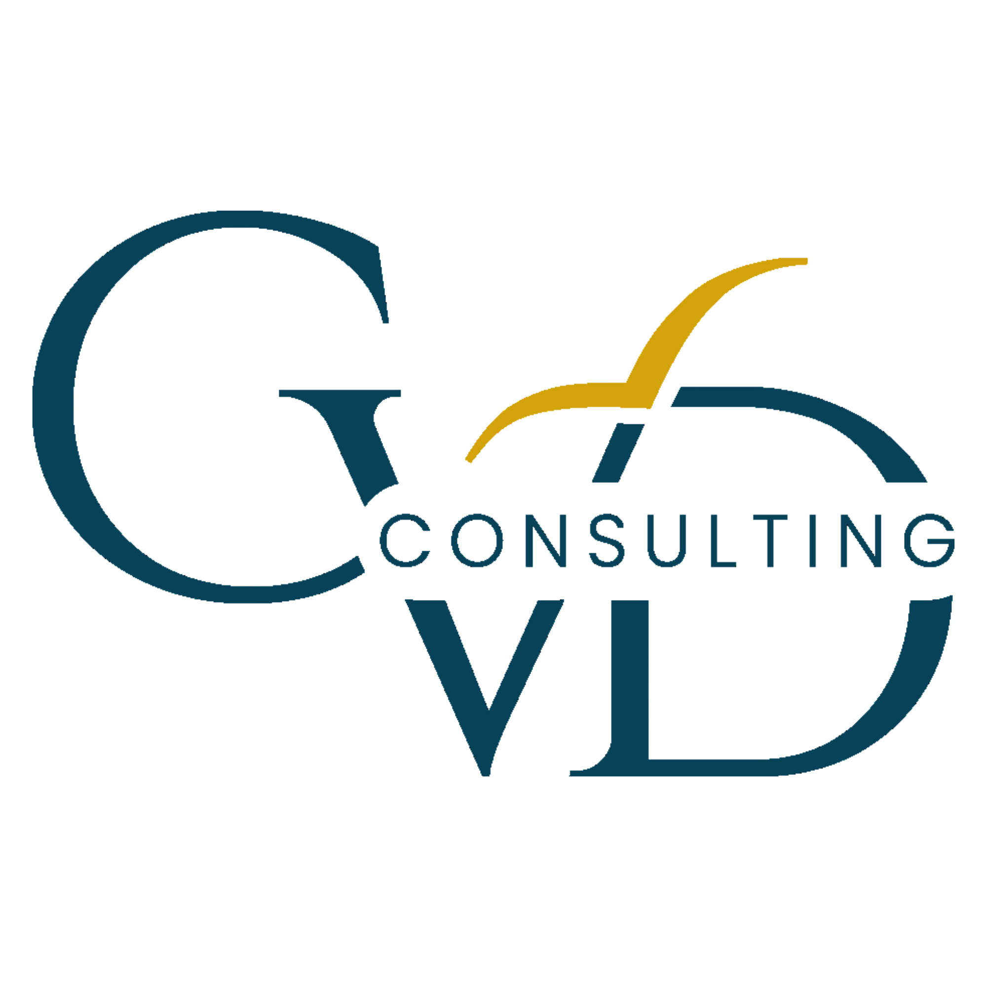 Claudia Vogel Daniel